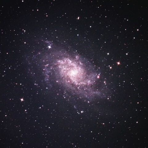 M33
