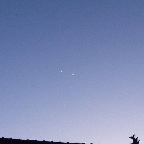 月と金星の接近