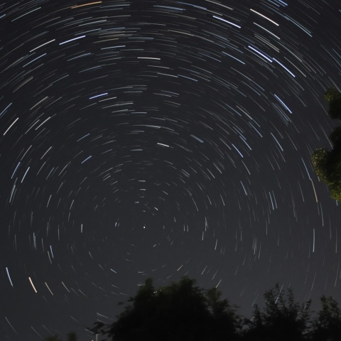カシオペア座と日周運動