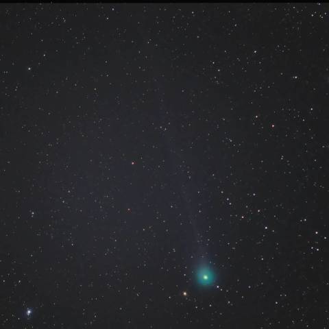 ラブジョイ彗星