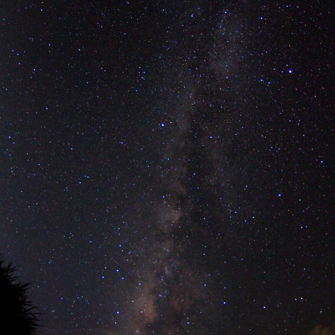 石垣島からみる天の川