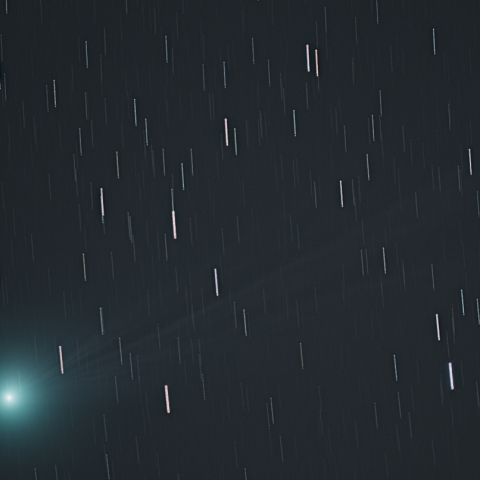 1月12日のラブジョイ彗星（C/2014 Q2）