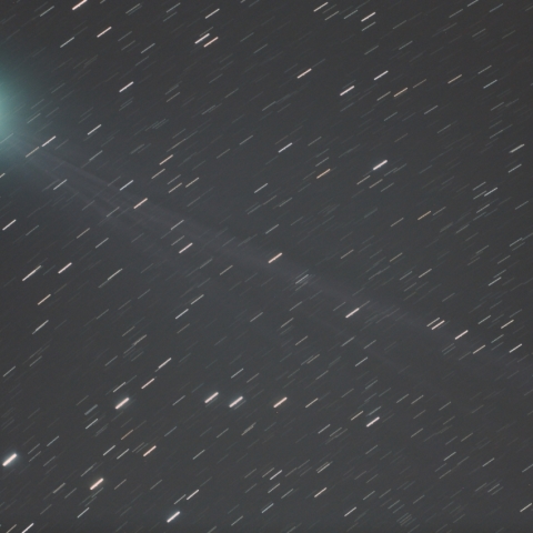 1月23日のラブジョイ彗星（C/2014 Q2）