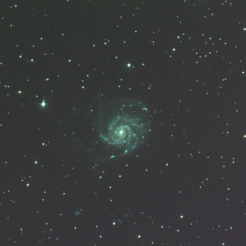 M101