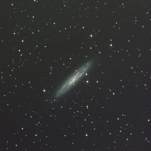 NGC253