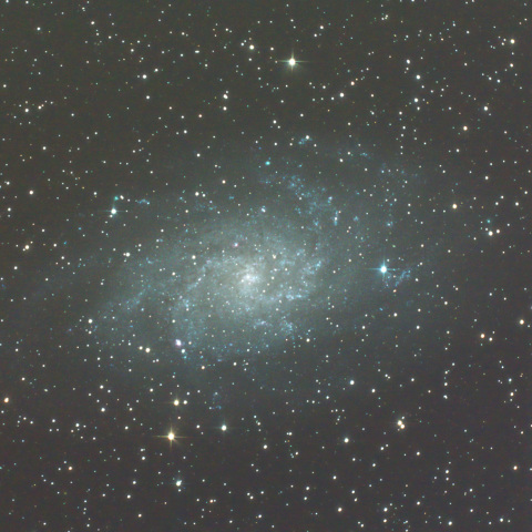 M33