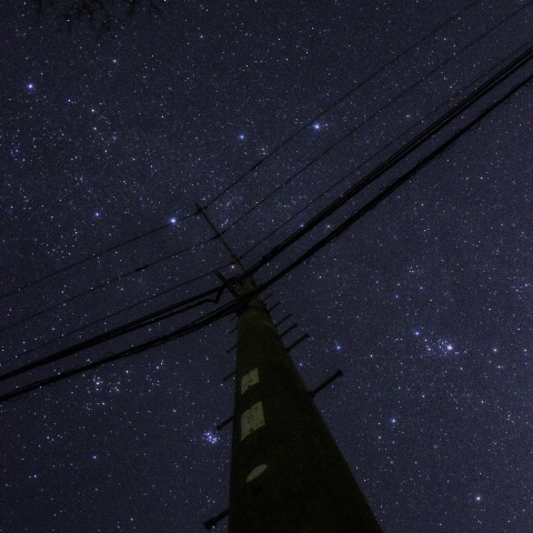 まだこの世界は僕を飼いならしてたいみたいだ