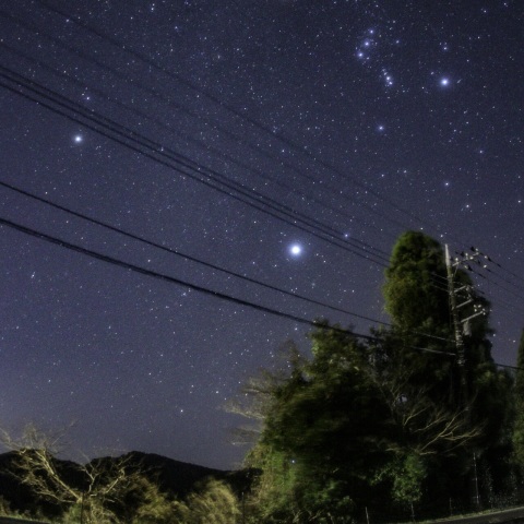 田園とオリオン