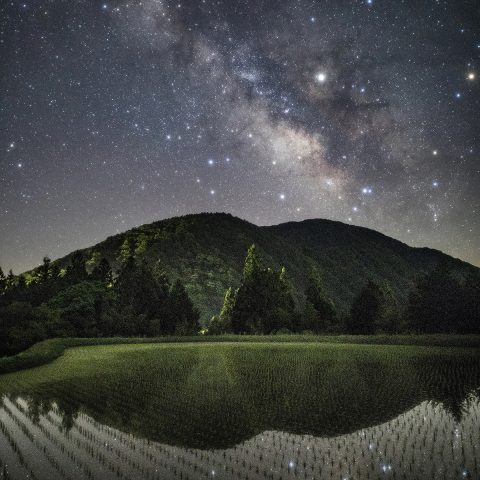 星 植 え の 季 節