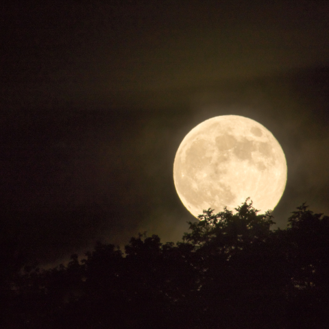 曽爾高原のスーパームーン