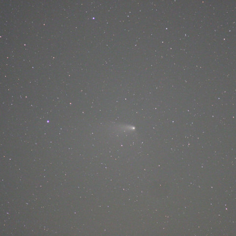 暗くなっても尾は健在！パンスターズ