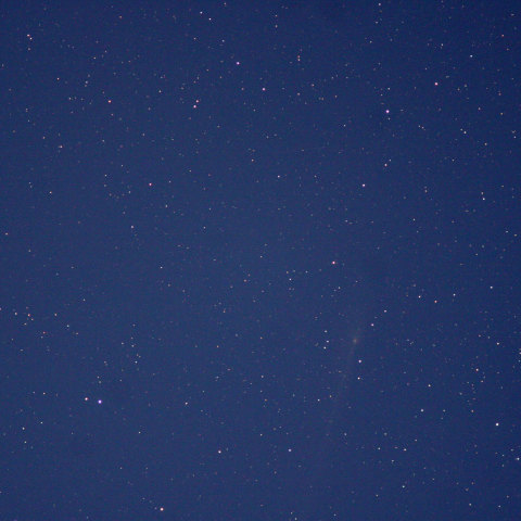 長い尾のパンスターズ彗星