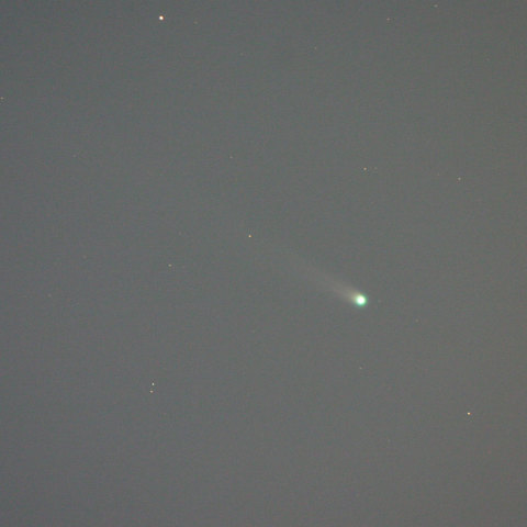やっと彗星らしくなってきたアイソン彗星