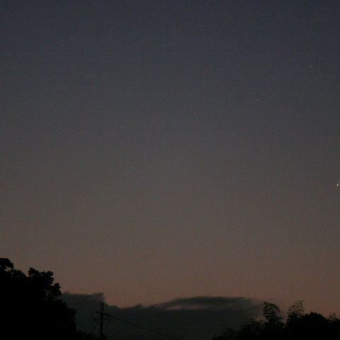 ダブル“すいせい”