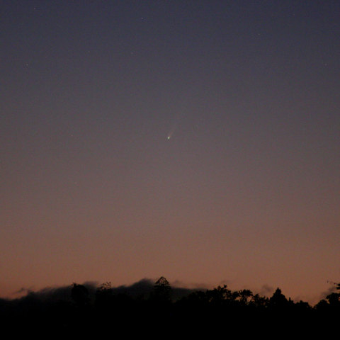 薄明の中のアイソン彗星