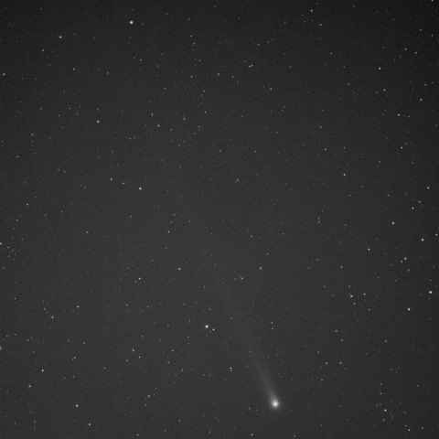 コメットフィルタ(ダストの尾)で写したラブジョイ彗星