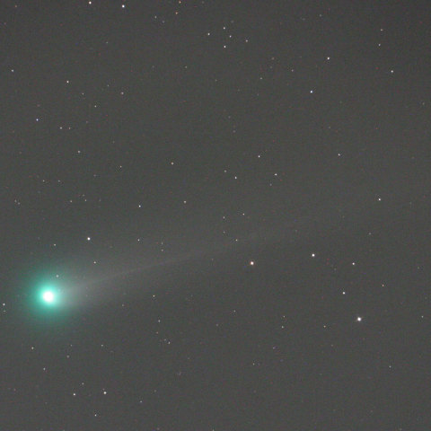 毎朝見てる ラブジョイ彗星