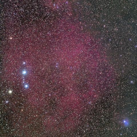 エンゼルフィッシュ星雲