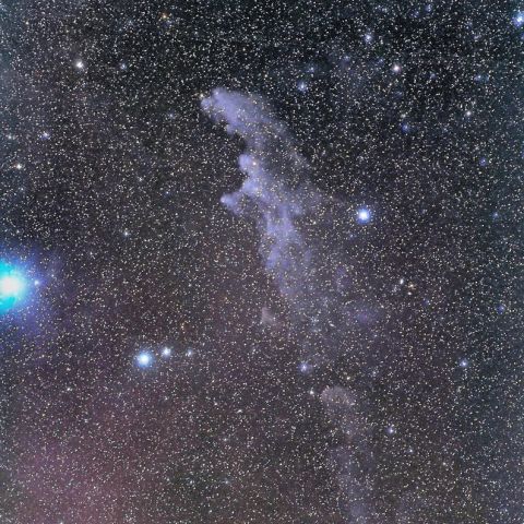 魔女の横顔星雲