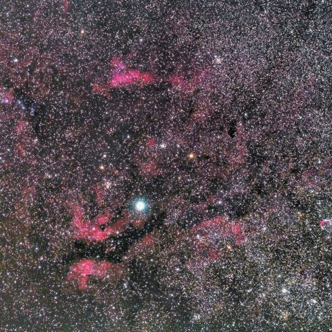 はくちょう座γ星付近