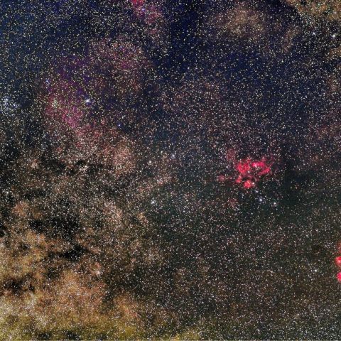 出目金星雲、彼岸花星雲