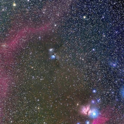 馬頭星雲とM78