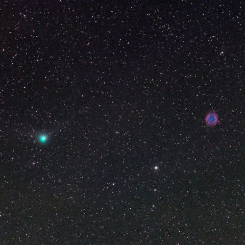 6月3日のパンスターズ彗星