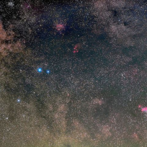 さそりのテイル