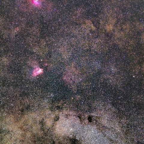 バンビの横顔とM16・M17