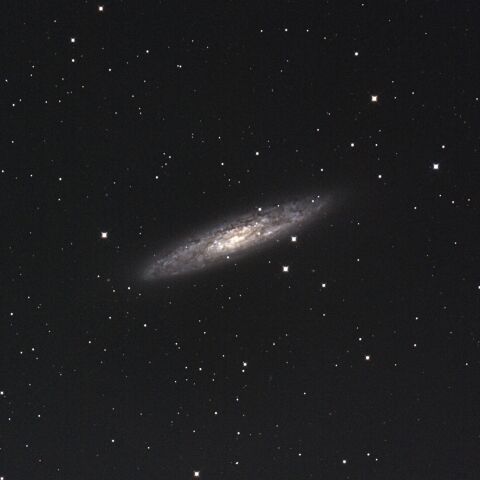 NGC253