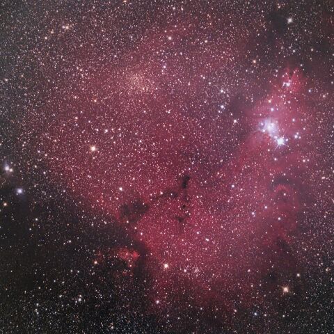 NGC2264 クリスマスツリー星団 コーン星雲