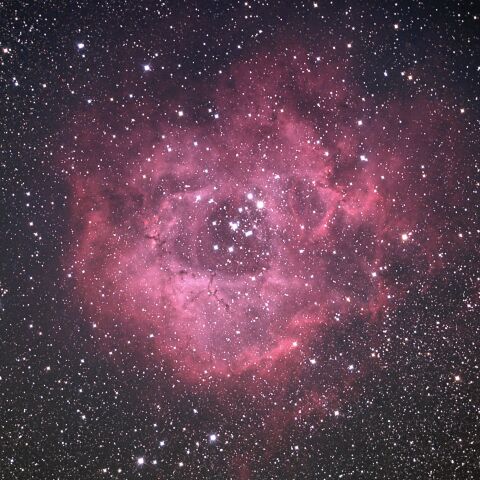 NGC2337 バラ星雲