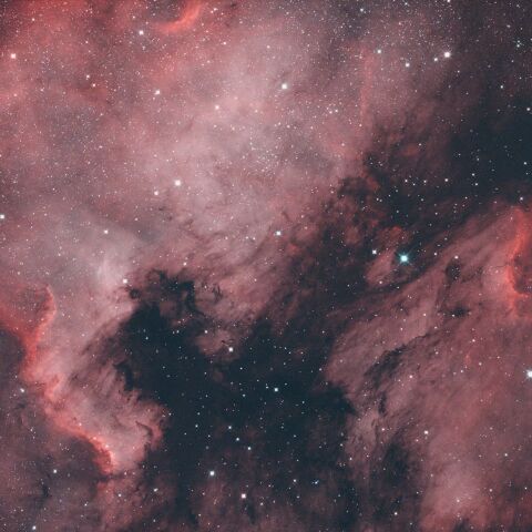 NGC7000 IC5067~5070 北アメリカ星雲 ペリカン星雲 はくちょう座