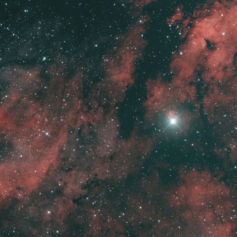 NGC6910 サドル付近の散光星雲 はくちょう座