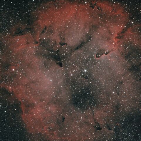 IC1396 ガーネットスター ケフェウス座