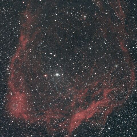 Sh2-129 こうもり星雲 ケフェウス座