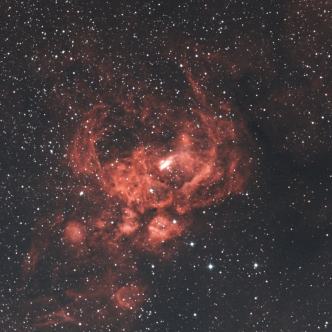NGC6357 彼岸花星雲 さそり座