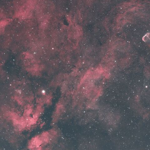 M29・IC1311・IC1318 サドル付近の散光星雲・NGC6888 クレセント星雲 はくちょう座