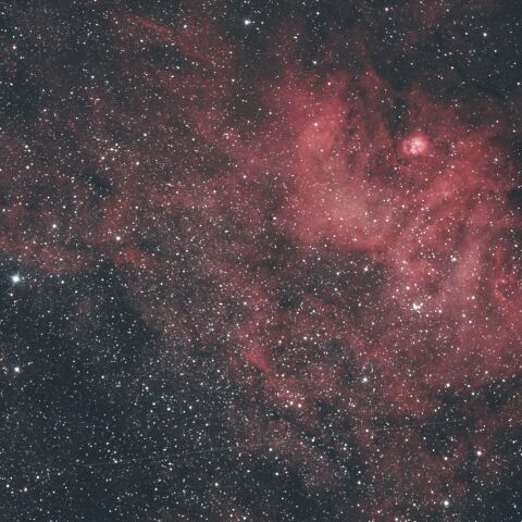 NGC6604・Sh2-54 へび座
