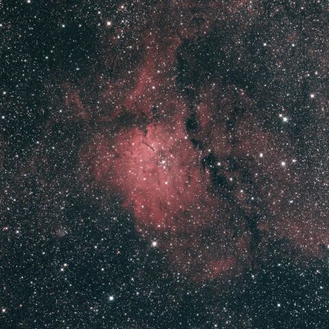 NGC6823 SH2-86 こぎつね座 