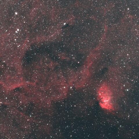 Sh2-101 チューリップ星雲・NGC6871 はくちょう座