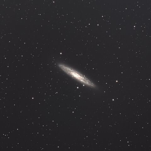 58840: NGC 300 by Kamui γ - 天体写真ギャラリー 58840: NGC 300 by Kamui γ - 天体写真ギャラリー