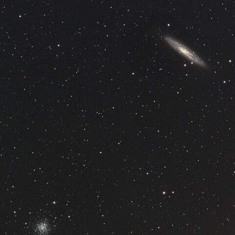 NGC253・NGC288 ちょうこくしつ座