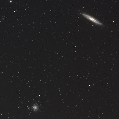 NGC253 NGC288 ちょうこくしつ座