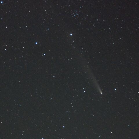 紫金山・アトラス彗星