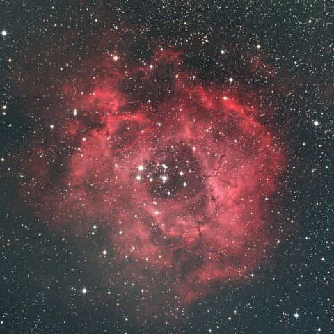 NGC2244 バラ星雲 いっかくじゅう座