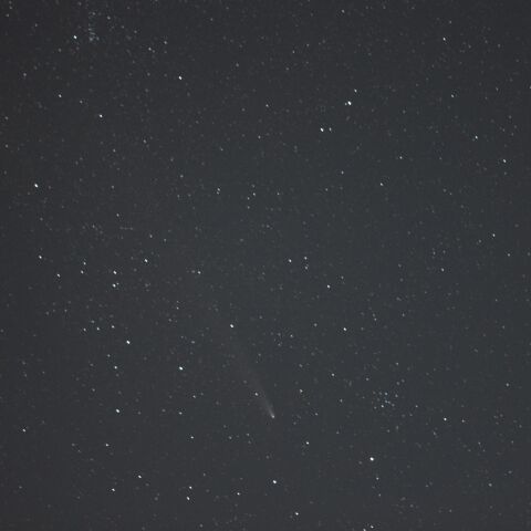 紫金山・アトラス彗星