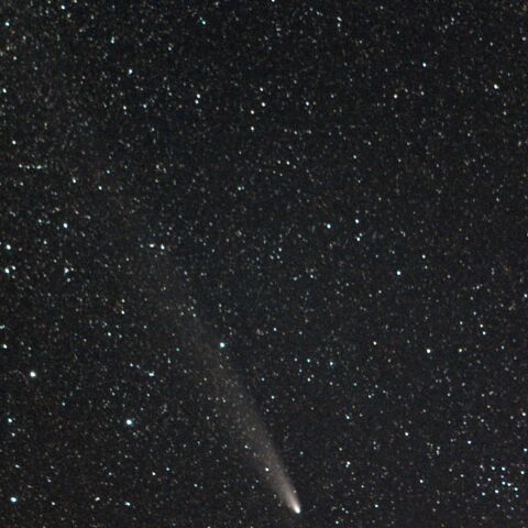 紫金山・アトラス彗星