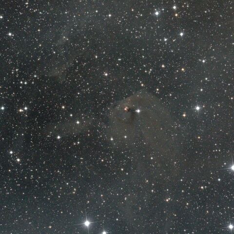 Sh2-238 おうし座