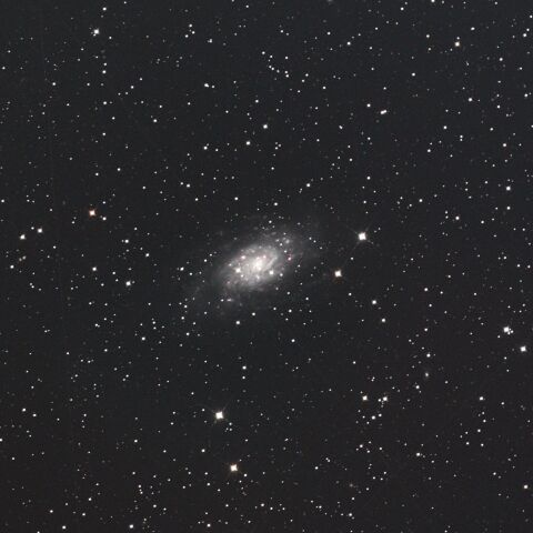 NGC2403 キリン座
